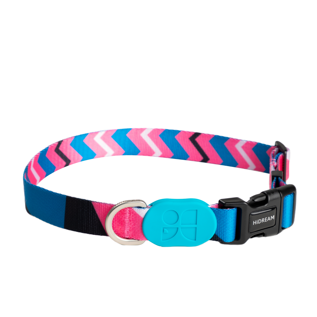 Dog Collar - PawsAndUnion