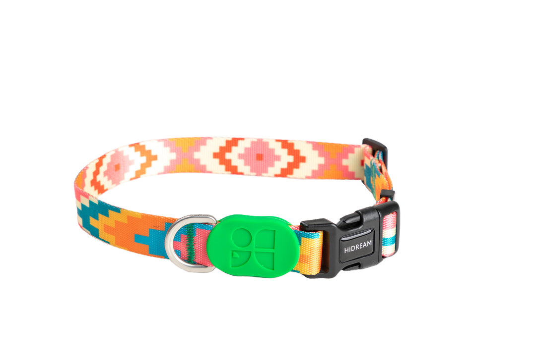 Dog Collar - PawsAndUnion