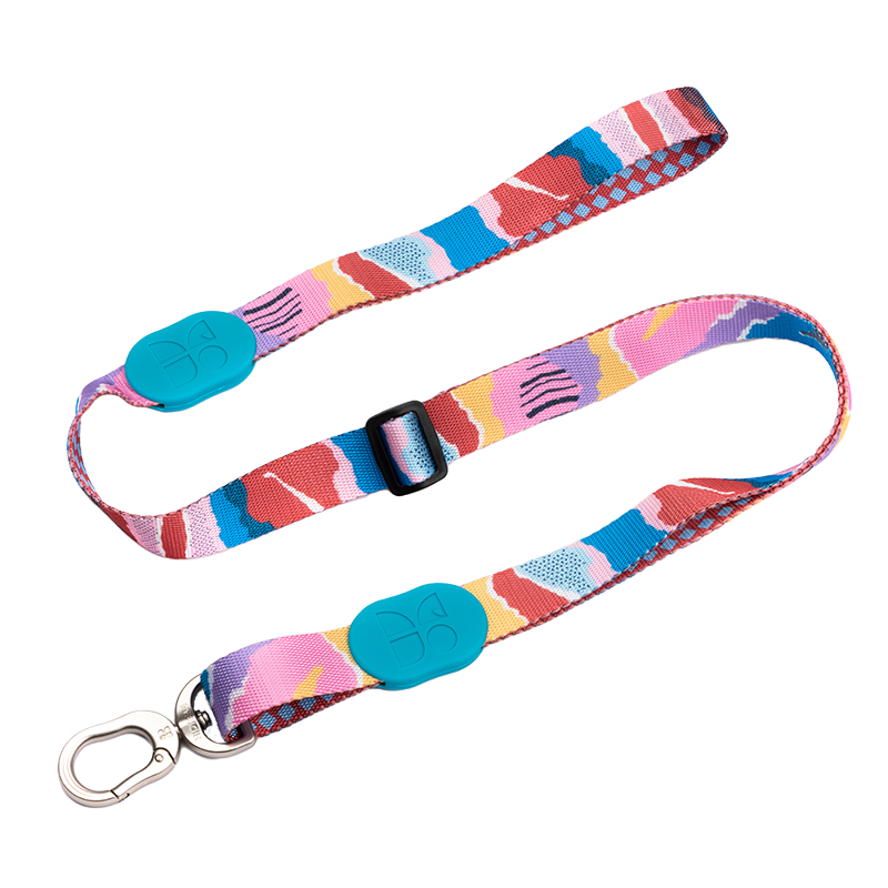 Dog Leash - PawsAndUnion